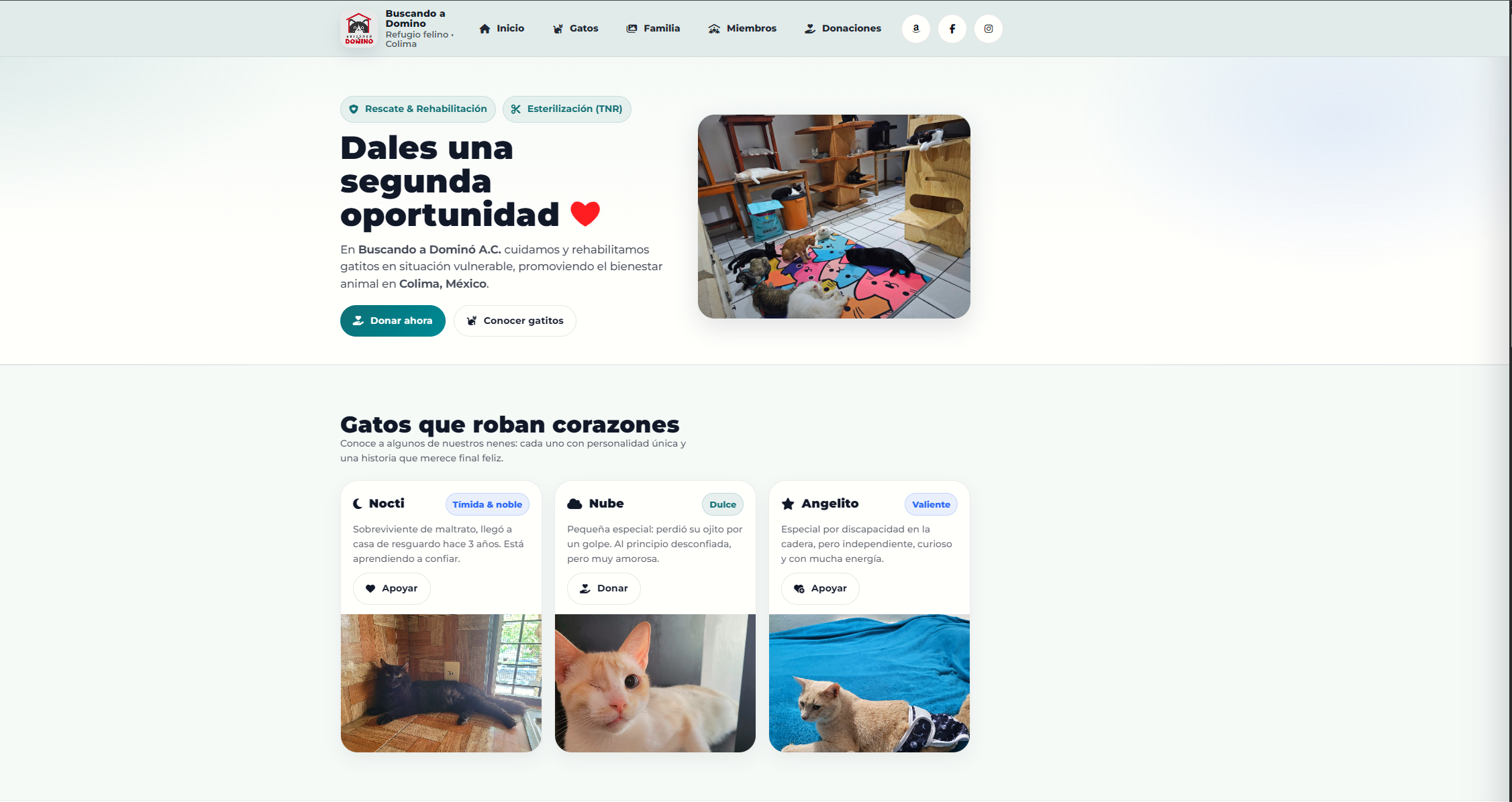 Buscando a Domino AC